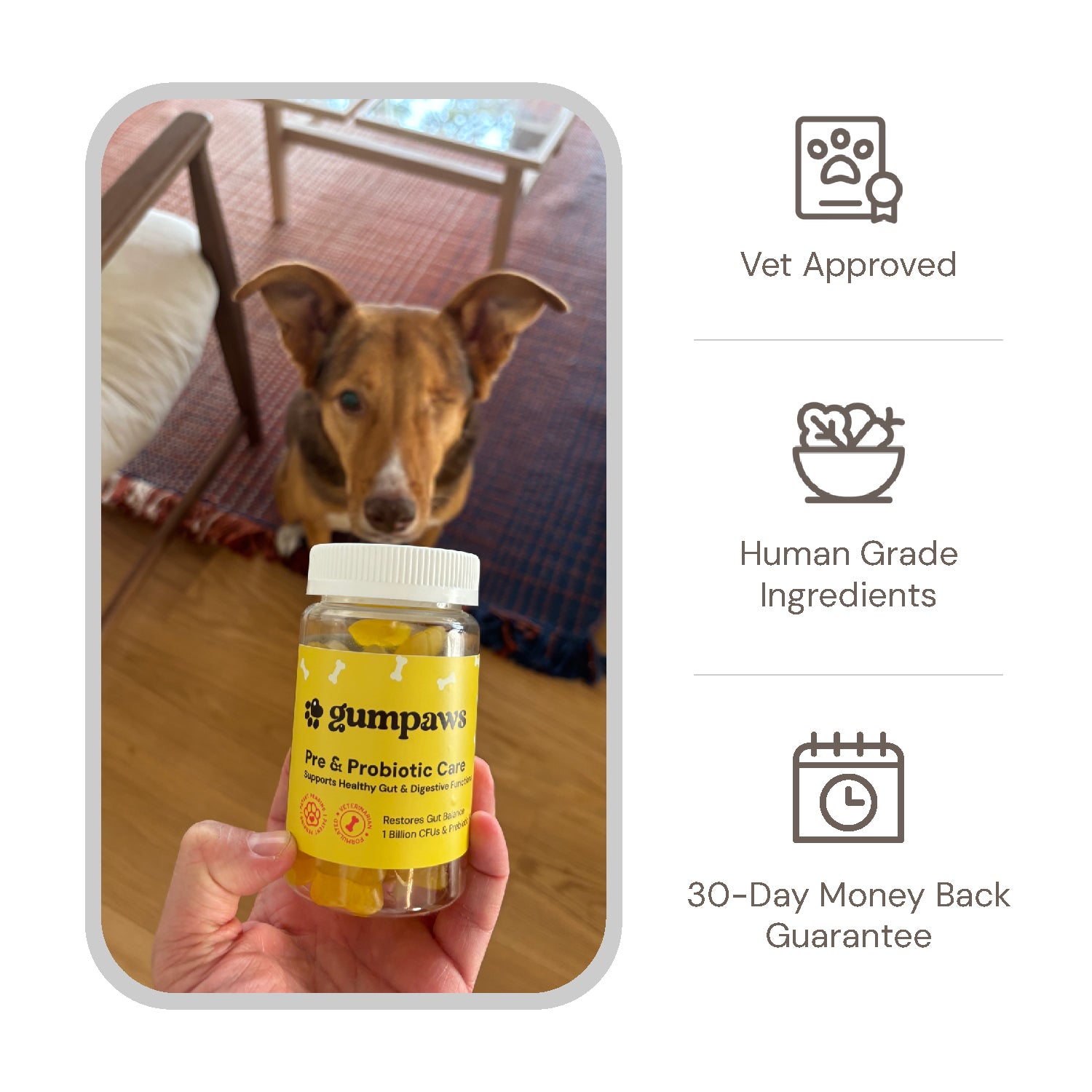 Pre & Probiotic Care