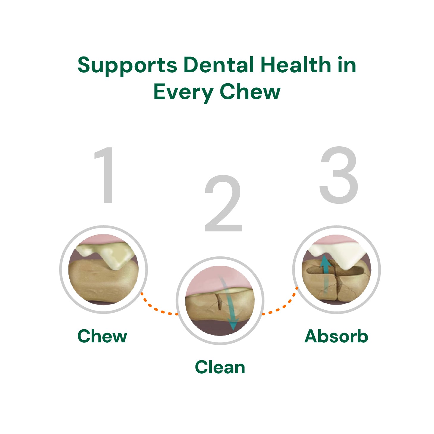 Dental & Oral Care
