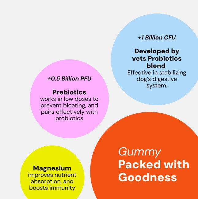Pre & Probiotic Care