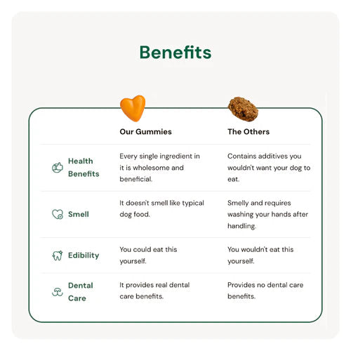 Dental & Oral Care
