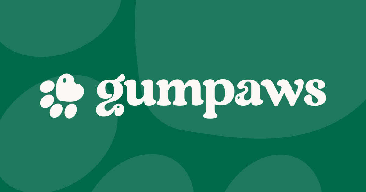 Shop Dog Gummies Premium Supplements By GumPaws Shop dog gummies premium supplements by gumpaws