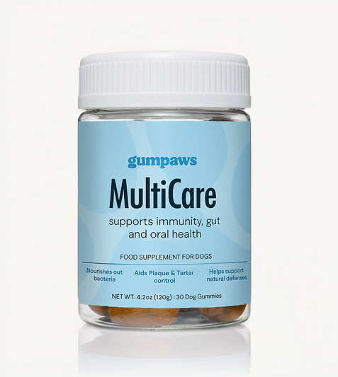 Daily Multivitamin